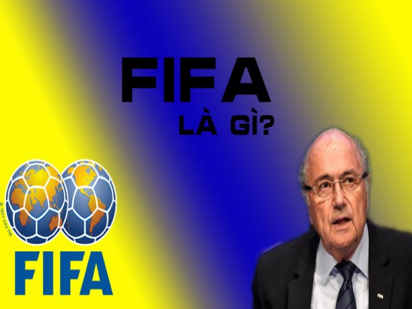 FIFA là gì? Lịch sử, cơ cấu tổ chức và vai trò của FIFA