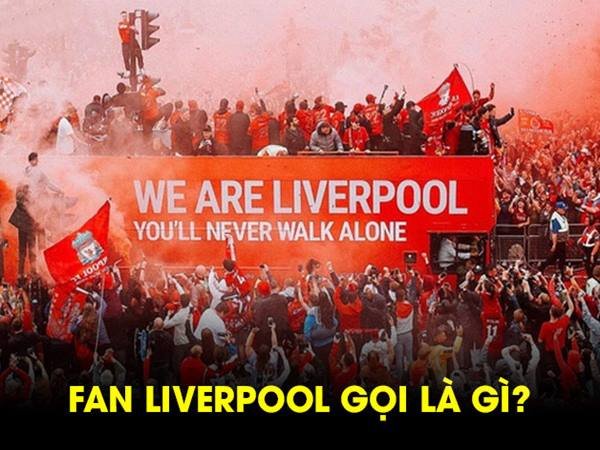 Fan Liverpool gọi là gì? Những điều khiến fan Liverpool tự hào