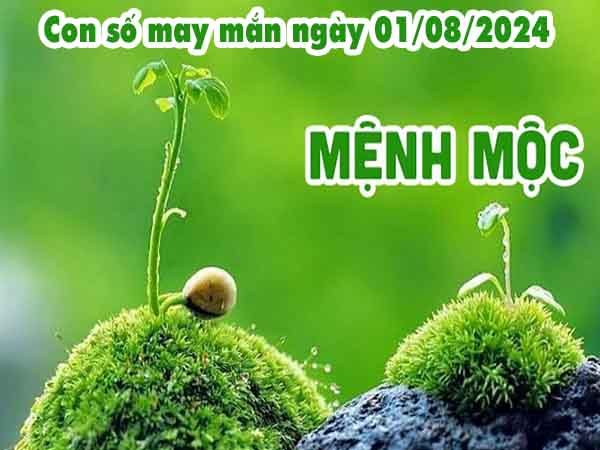 Phân tích con số may mắn người mệnh Mộc ngày 31/7/2024 thứ 4 hôm nay