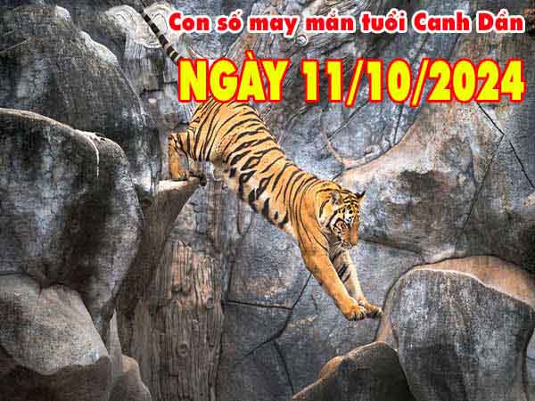 Phân tích con số may mắn tuổi Canh Dần ngày 11/10/2024 thứ 6 hôm nay